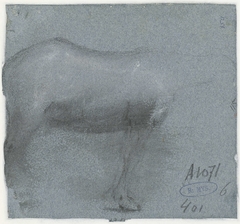 Zijkant van een paard by Moses ter Borch