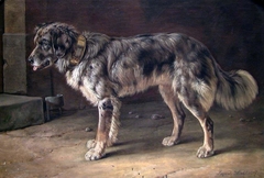 A Dog by Johann Siegwald Dahl