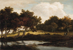 A Wooded Landscape with Travellers on a Track by a Pool by Jacob van Ruisdael