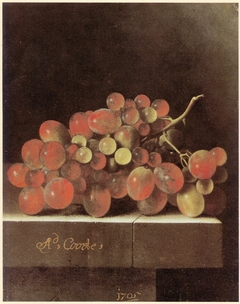 Bunch of Grapes by Adriaen Coorte