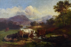 Cattle (White Bull) by Francis Devlan