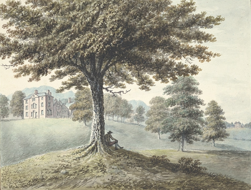 Exhibit image