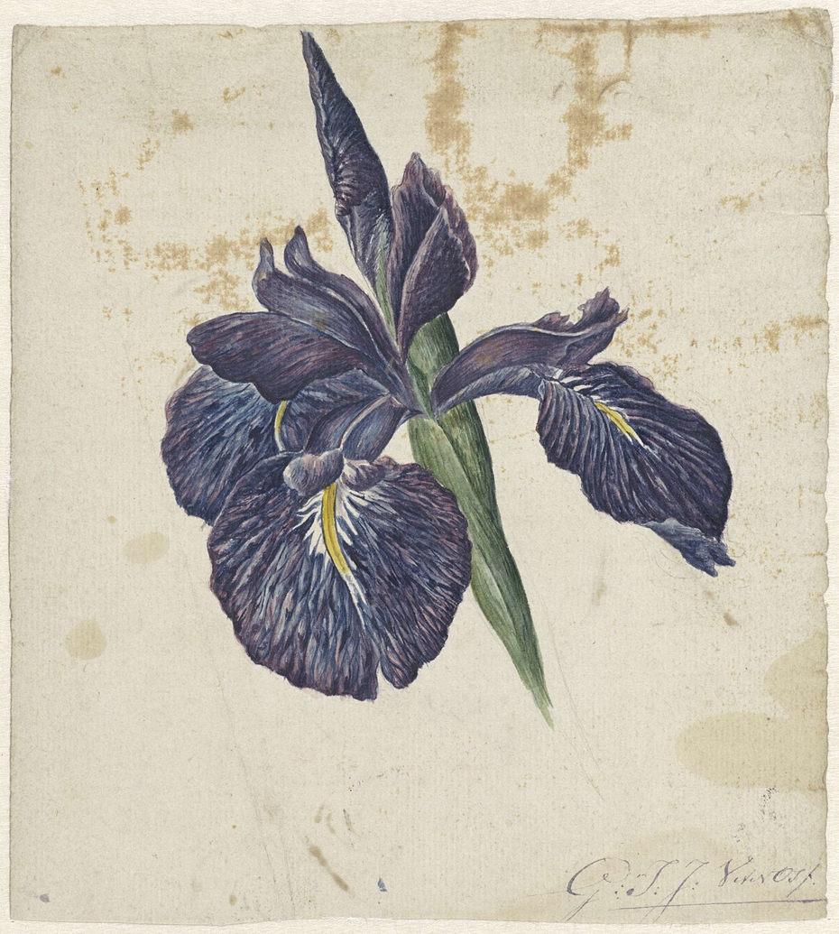 Exhibit image