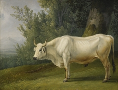 Landschaft mit Stier by Jacob Philipp Hackert