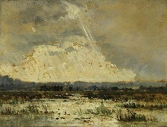 Le marais de la Souterraine by Théodore Rousseau