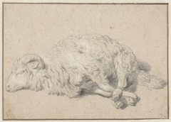 Liggend schaap met vastgebonden poten by Jan Baptist Weenix