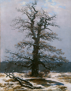 Oak in the Snow by Caspar David Friedrich