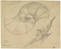 Ontwerp voor een zilveren tafelstuk in de vorm van een schelp by Mathieu Lauweriks