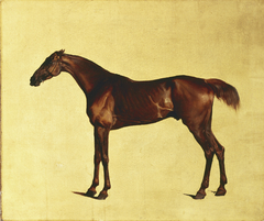 Pangloss by George Stubbs