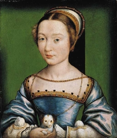 Portrait of a lady holding a puppy by Corneille de Lyon