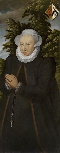 Portrait of a Woman by Pieter Claeissens