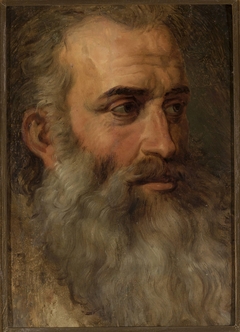 Portrait of an old man by Wojciech Gerson