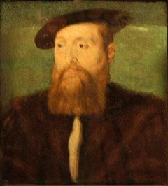 portrait of Count de Nanteuil by Corneille de Lyon