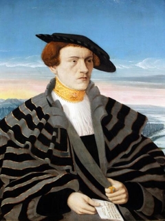 Portrait of Gilbrecht von Holzhausen (1514-1550) by Conrad Faber von Kreuznach