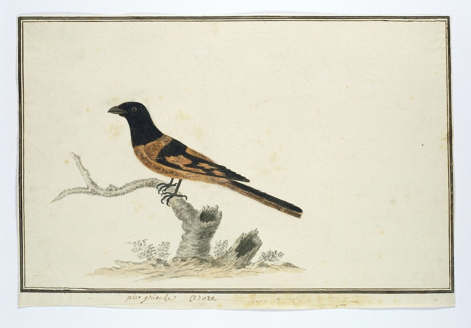 Exhibit image