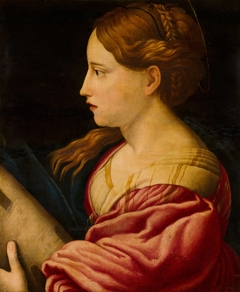 St Barbara by Anonymous