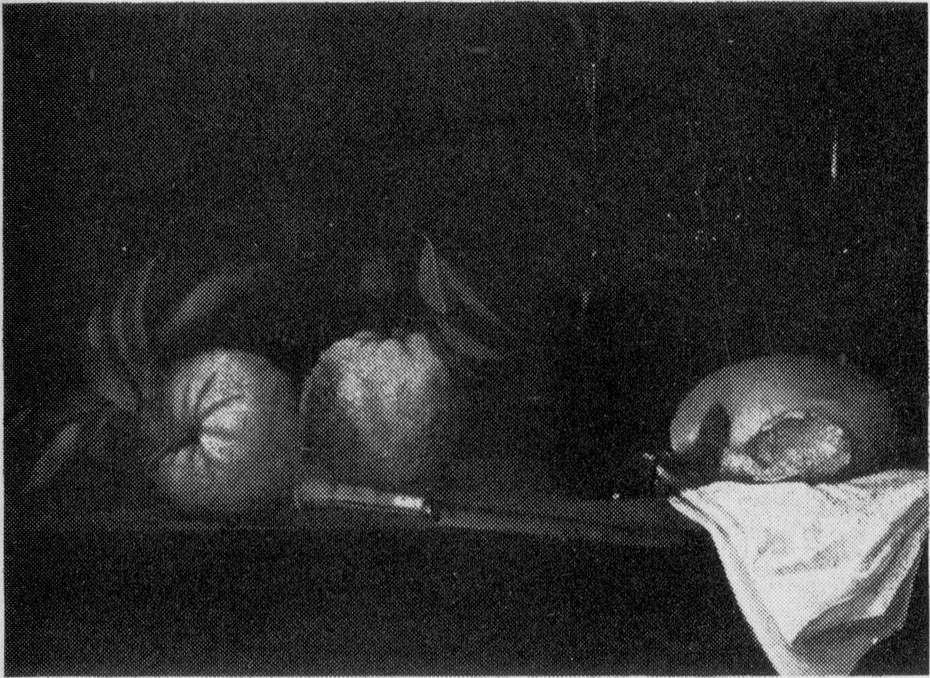 Exhibit image