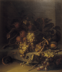 Stilleven met druiven, mispel en een muis by Jacob van Walscapelle