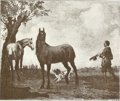 The Stadhouder’s Horses by Paulus Potter