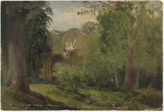 Trees in Phoenix Park, Dublin by William Howis senior