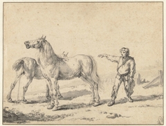 Twee paarden by Philips Wouwerman