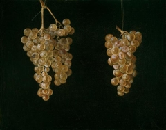 Two Bunches of Grapes with a Fly by Miguel de Pret