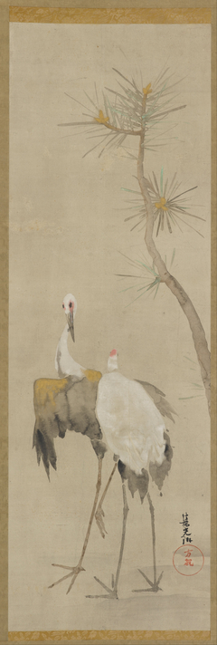 Two cranes and a pine tree by Anonymous