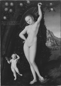 Venus with Cupid the Honey Thief by Lucas Cranach the Elder