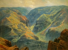 Waimea Canyon, Kauai by D. Howard Hitchcock