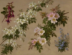 Wild roses and various other flowers and shrubs by Paul de Longpré