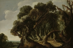 Wooded Landscape by Jacob Jacobsz van Geel