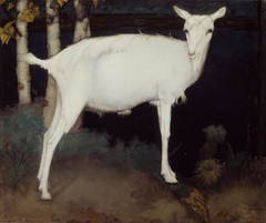 Young white goat by Jan Mankes