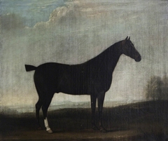 A Brown Horse in a Landscape by Thomas Weaver