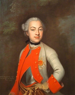 A Prince of Berkenfeld, b. 1743 by Wolfgang Dietrich Majer