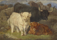 A study of Highland Cattle by Gourlay Steell