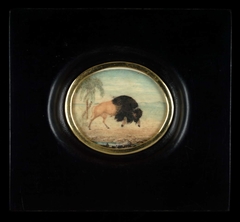 Bisonte con palmeras (Bison with Palm Trees) by Anonymous