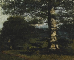 Cedar Tree at Hauteville by Gustave Courbet