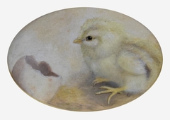 Chick with Egg Shell by Ben Austrian