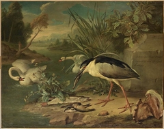 Fishing bird, swans and fish by Gerard Rijsbrack