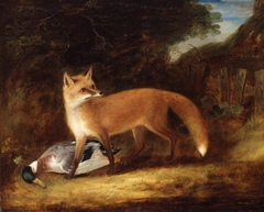 Fox and Duck by John Ferneley