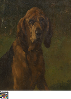 Hond van de heilige Hubertus by Edmond Van der Meulen