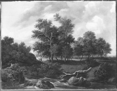 Landschaft mit Gießbach (Nachahmer) by Jacob van Ruisdael