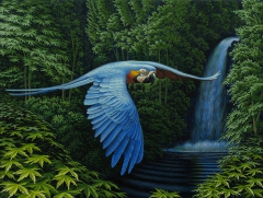 Macaw by Leonard Koscianski