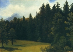 Mountain Resort by Albert Bierstadt