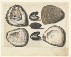 Oesters en mosselen by Unknown Artist