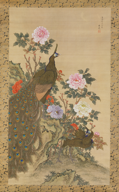 Peacocks and Peonies by Tani Bunchō