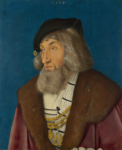 Portrait of a Man by Hans Baldung