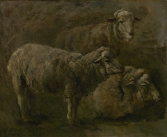 Sheep by Charles-François Daubigny