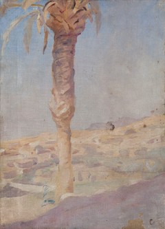 Spain (Crevillente) by Jan Ciągliński