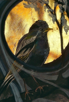 Starling dusk by Mo Kelly